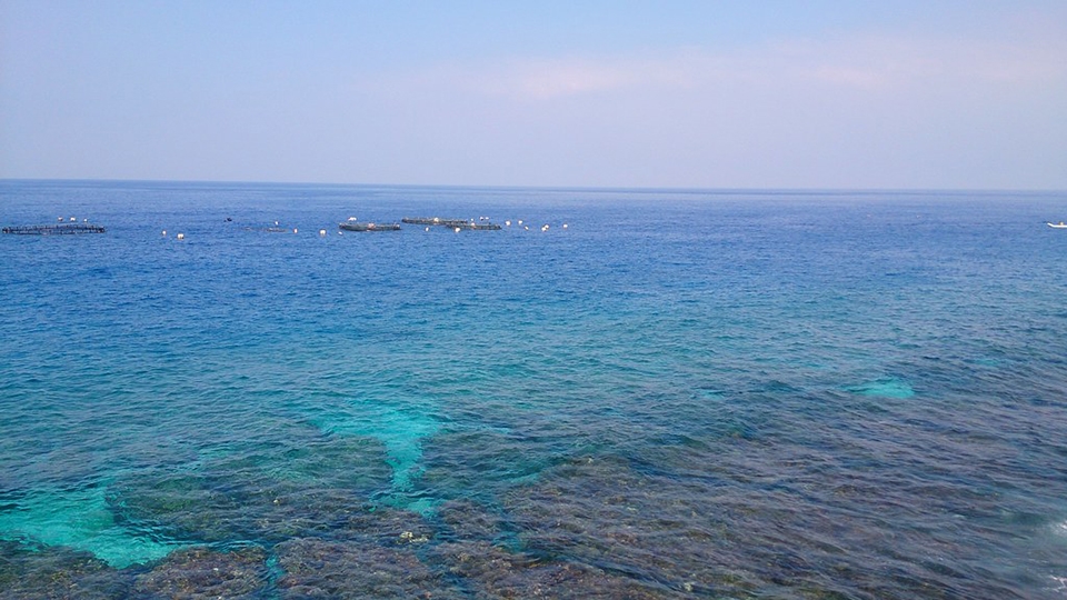 目前海洋能發電潛能較高的三項技術有海流發電、海洋溫差發電、波浪發電。資料照。攝影：李育琴。